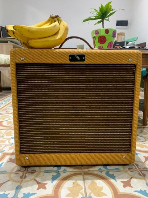 GT AMPS 5F2-A PRINCETON