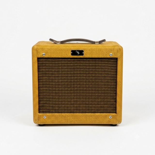 GT AMPS CANICHE-AMP